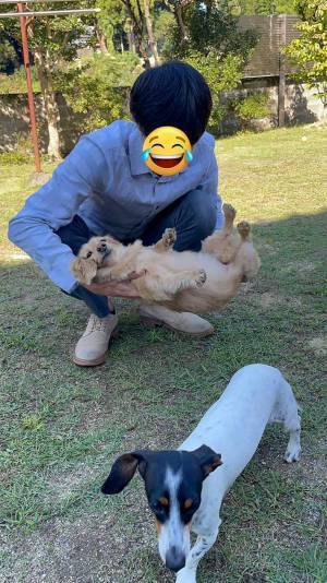 『抱っこされるの下手な犬』　表情に「笑える」「クセになる」