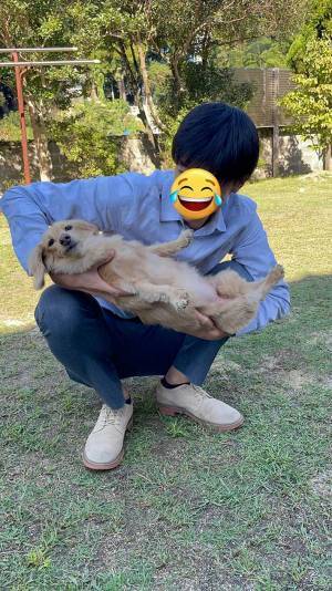 『抱っこされるの下手な犬』　表情に「笑える」「クセになる」