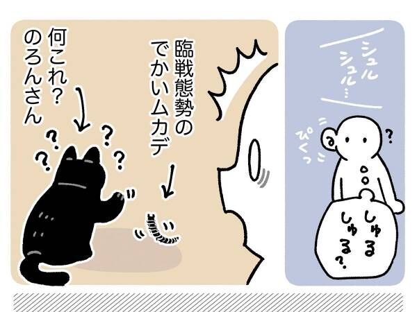 飼い主「危ない！逃げろ！」　猫の行動に「天才」「本当に賢い」