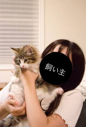 飼い主の腕の中にいる子猫　２年後の姿に「同じ猫だよね？」