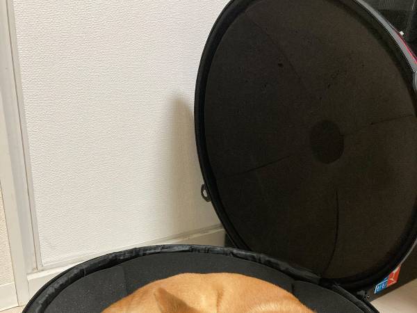 飼い主「すみませんが…」　愛犬の行動に「心臓が止まるかと思った」