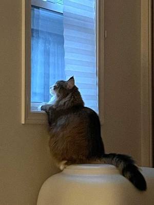 朝５時に物音…　恐るおそる見に行くと？　「素敵」「まさかの光景」