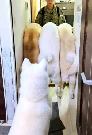 夫が帰宅すると？　歓迎した１枚に「笑った」「さすがにもう無理」