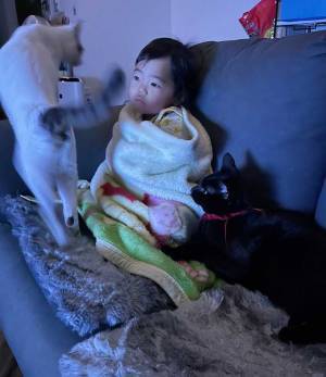 父親が夜勤だと知らされた２歳児　猫を引き連れて…　取った行動にキュン！