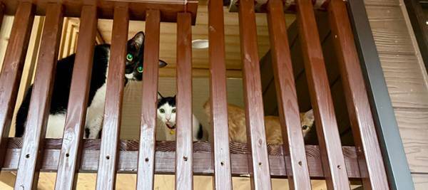 絶対損してる…　宅配業者が取った行動に「なんて、もったいない」