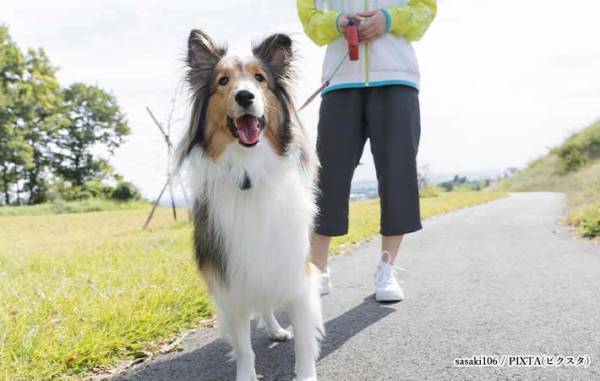 車が脱輪してピンチ　すると、散歩中の女性が…？「心に響きました」