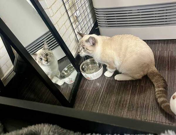 『どこ見てんのかなと思ったら』　視線の先を見たら…ヒェッ！