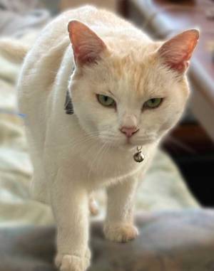 「俺にかわいすぎる名前を付けやがって」　名前と表情のギャップに「吹いた」