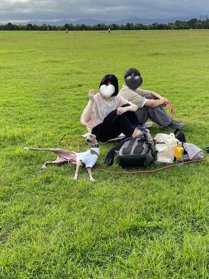 「犬界のトップモデル」「すごい美脚」　自分の魅せ方を理解している犬が、こちら