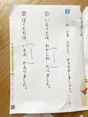 国語のテストで『バツ』をくらった小１　斜め上の理由に「違う、そうじゃない」