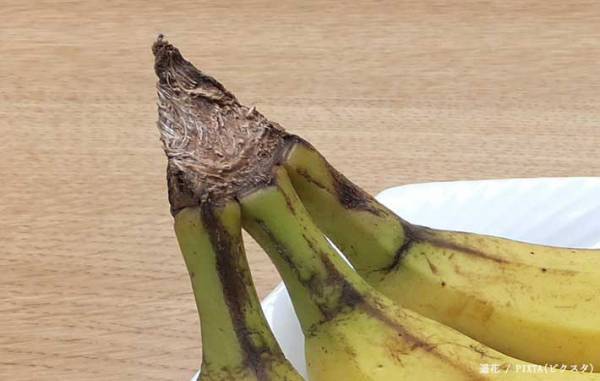 おいしいバナナはどう見分ける？　青果店が教えるポイントに「今年イチいい情報」