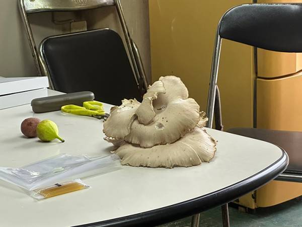 父親が拾ってきたものが…　１６万『いいね』を集めたワケが分かる１枚がこちら