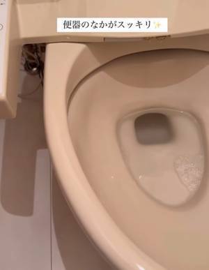 トイレットペーパーを詰めてみて！　便座のふち裏、掃除テクに「スッキリ」「意外と簡単」