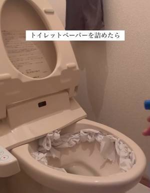 トイレットペーパーを詰めてみて！　便座のふち裏、掃除テクに「スッキリ」「意外と簡単」