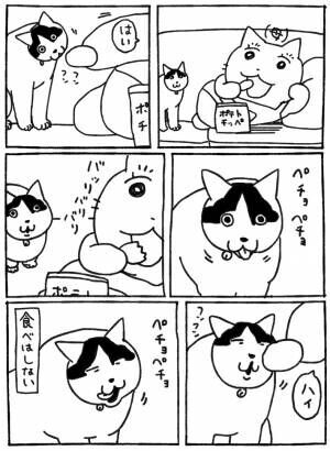 猫の漫画の画像