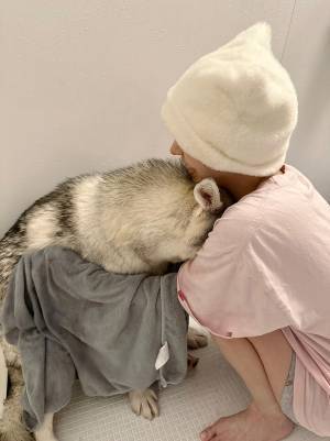 愛犬を風呂場に連れて行った飼い主　見せた姿に「悲しみがめちゃ伝わってきた」