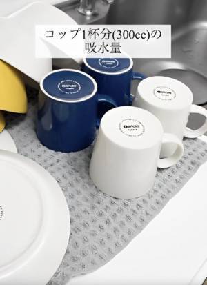 水切りカゴはもう不要？　おすすめの代用アイテムに「これは便利！」「真似します」