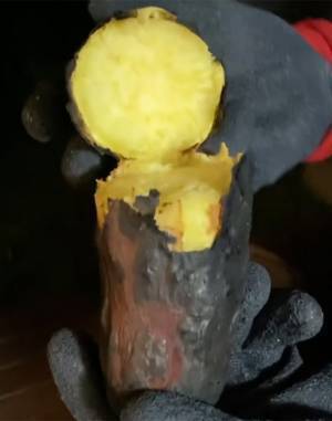 サツマイモを塩水につけたら…　まさかの食べ方に「驚いた」「やってみます」