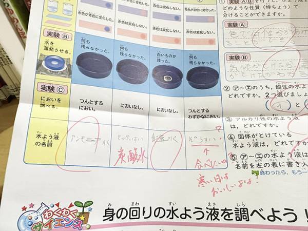 理科のテストで間違えた小６　先生の一言に、母「ツッコミありがとう！」