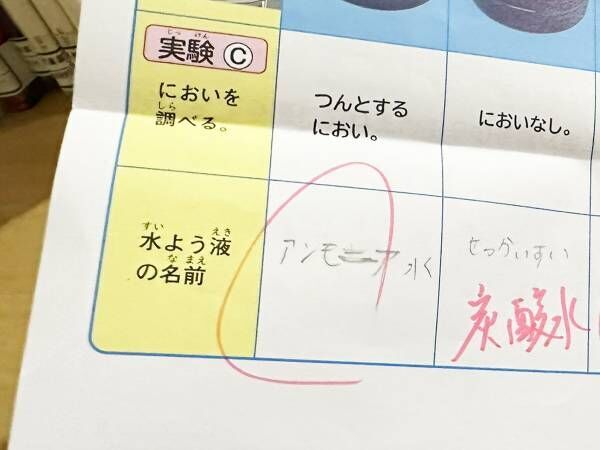 理科のテストで間違えた小６　先生の一言に、母「ツッコミありがとう！」