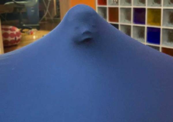 シーツを被った子供が？　何度も見返す１枚に「めっちゃ笑った」「これは完全に…」