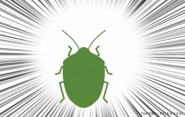 夫に『洗濯物の取り込み』を任せたら？「笑った」「気いつけなはれや！」