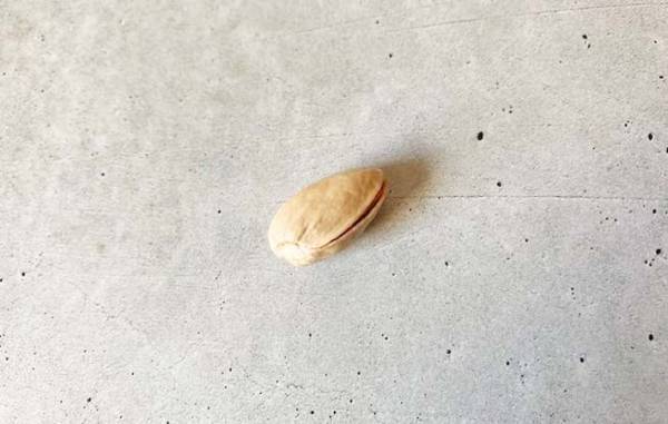 もう爪で開けないで！　硬いピスタチオの殻は…？