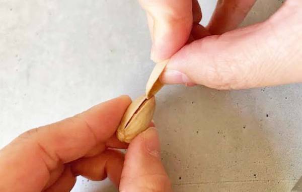 もう爪で開けないで！　硬いピスタチオの殻は…？