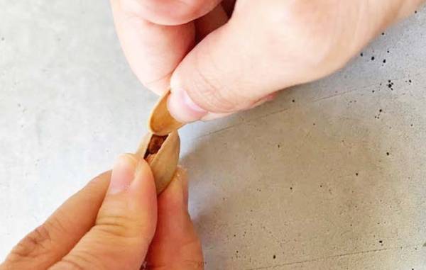 もう爪で開けないで！　硬いピスタチオの殻は…？