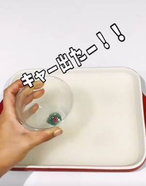 『米のとぎ汁』残しておくと…　母親の提案に「これはハマる」「楽しそう！」