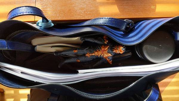 子供を保育園に送ったら？『異変』に保育士と爆笑