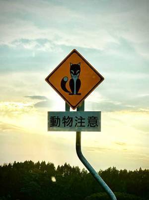 『動物注意』の道路標識　写真をよーく見てみると…？