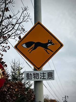 『動物注意』の道路標識　写真をよーく見てみると…？