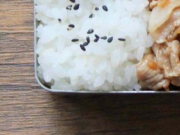 職場で二度見された弁当　そのビジュアルに「これはたまらない」「最高の弁当」