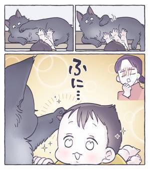 猫に近付く赤ちゃん、次の瞬間？　「あぁ尊い…」「優しい世界」