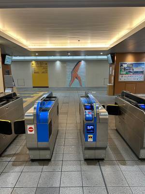 「鮭の切身っぽいな」　駅の改札を抜けると…「シュールで笑った」