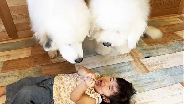 子供と犬の写真