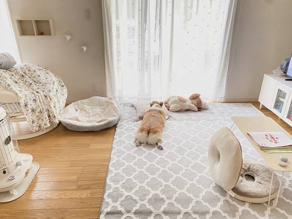 娘の友人が付けた『犬のあだ名』　理由に「理解して吹いた」「センスが１００点」