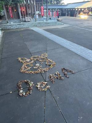 落ち葉で描かれたのは？　神社の粋な投稿に「こういう気遣いは嬉しい」