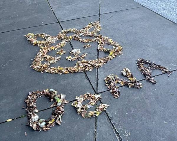 落ち葉で描かれたのは？　神社の粋な投稿に「こういう気遣いは嬉しい」