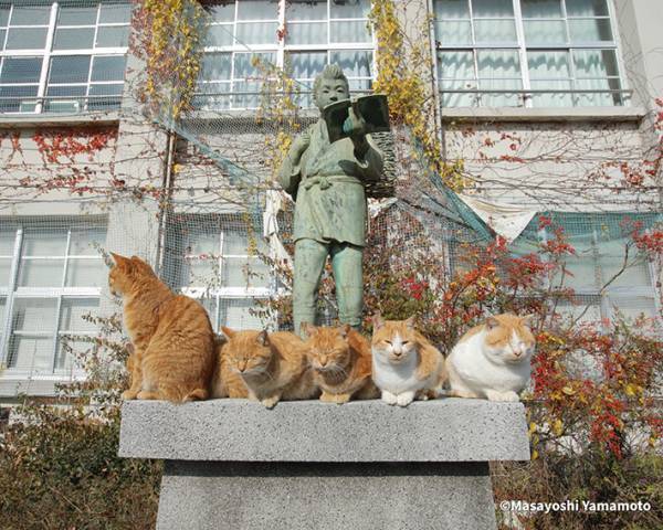 「その場所変わってくれ」　写真家が撮影した、二宮金次郎像の足元を見ると…