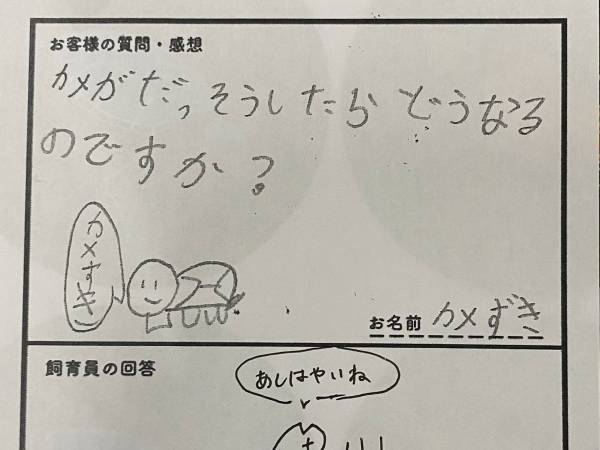 質問用紙にカメを描いたら？　飼育員の返しに「マジで好き」