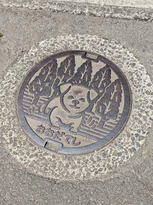マンホールの写真に『４万いいね』　「これは踏めない」「天才！」