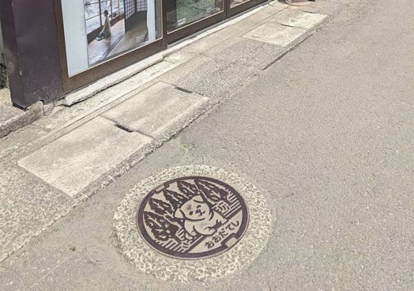 マンホールの写真に『４万いいね』　「これは踏めない」「天才！」