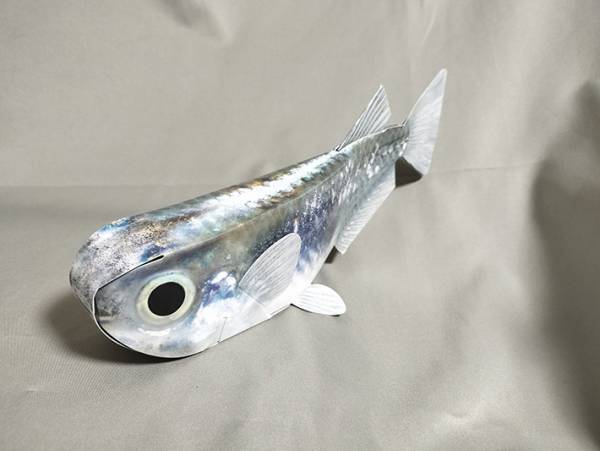 水族館のお土産コーナーで…　称賛の声が続出の商品がこちら