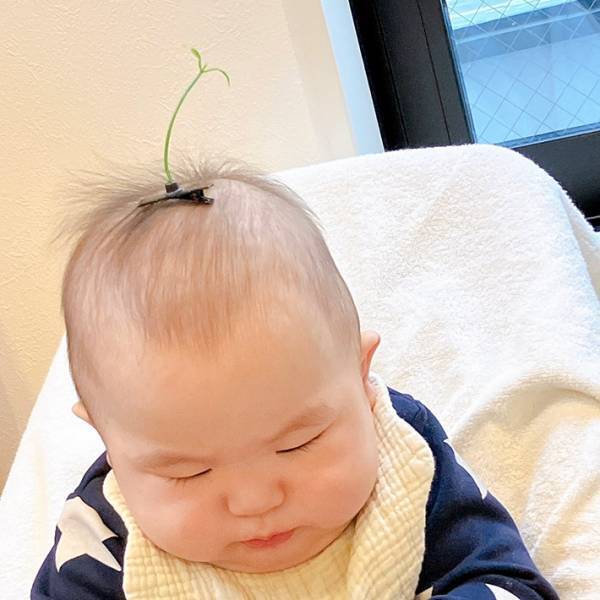 母「準備してなくて…」　息子のハロウィンの仮装が？　「笑った」「無双してる」