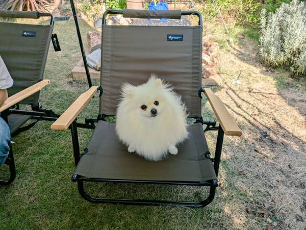 座る愛犬を見て、何かに気付いた飼い主　まさかの『真実』がこちら