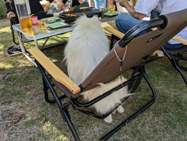 座る愛犬を見て、何かに気付いた飼い主　まさかの『真実』がこちら