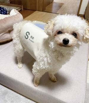 「無印で買いました」　写った光景に「これは即買い」「生活必需品でしょ」