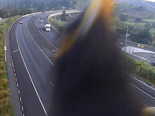 何か訴えてる？　高速道路の監視カメラに映ったものに「笑った」「面白い」